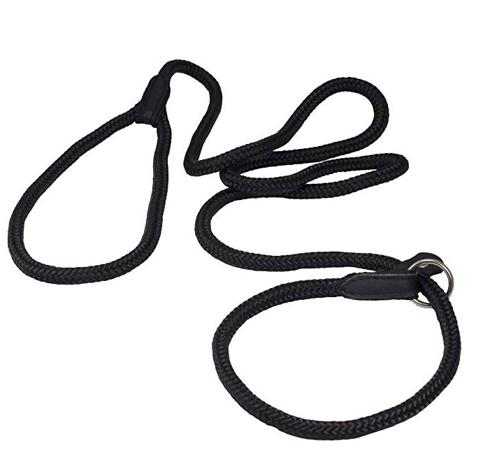 Nylon Rope Slip Dog Lead Adjustable Collar and Leash 4ft Long Size: Small:  1/4 (6mm) - GoMyPuppy