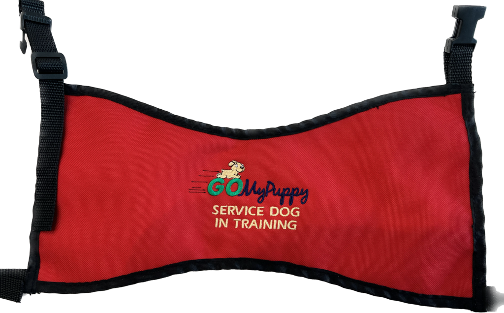 Go My Puppy Service Dog In Training Vest GoMyPuppy